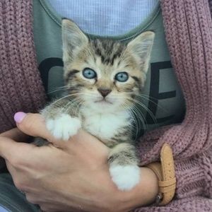 Shop Poshmark for a good cause